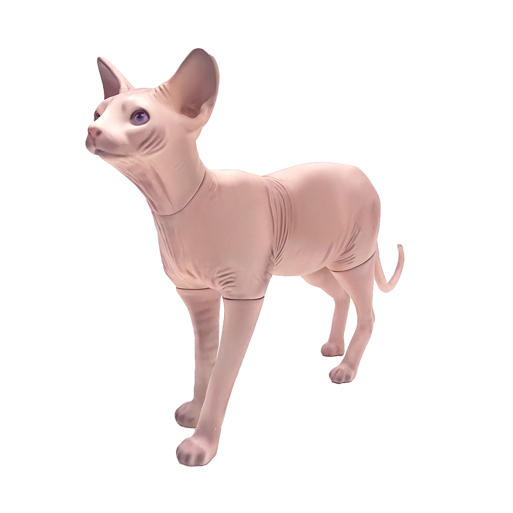 無毛貓模型可拆寵物道具貓狗衣服拍攝展示衣架模特斯芬克斯貓擺件